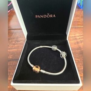 Pandora bracelet with 2 charms
